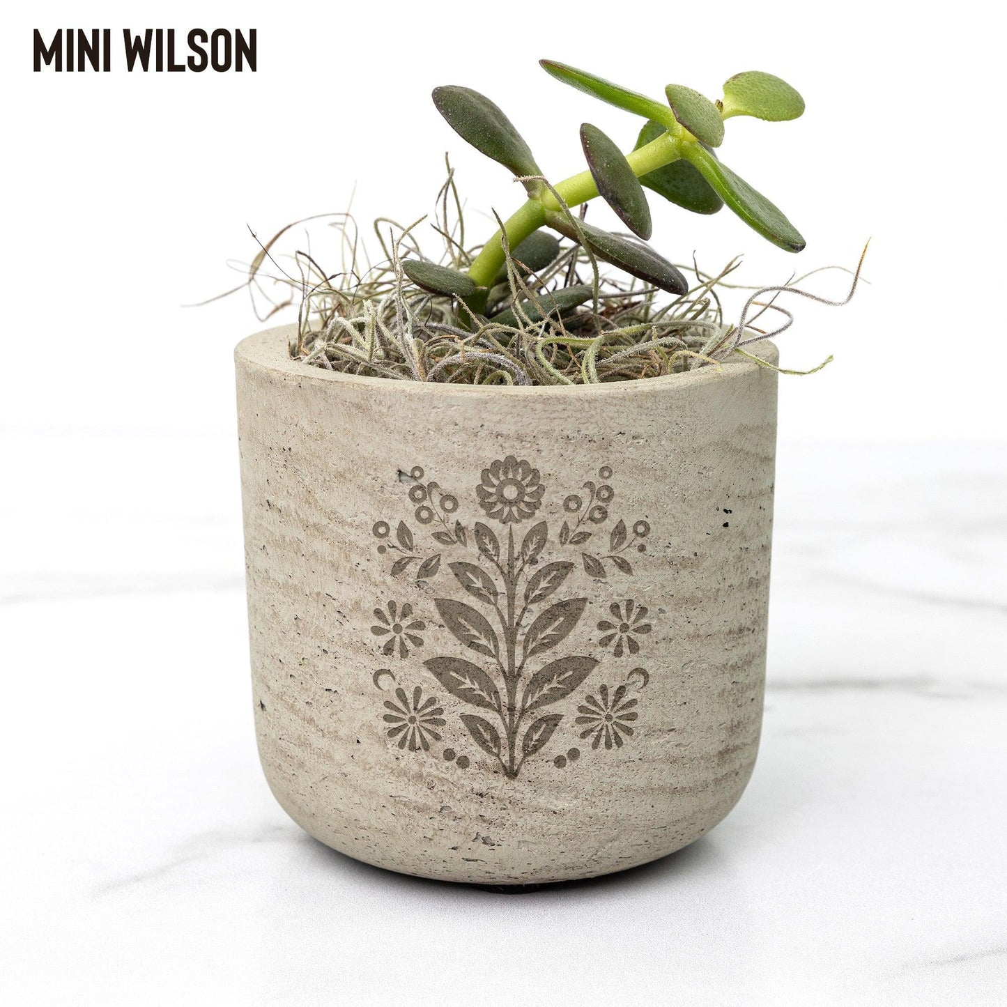 Indoor Plant - GroveWisdom