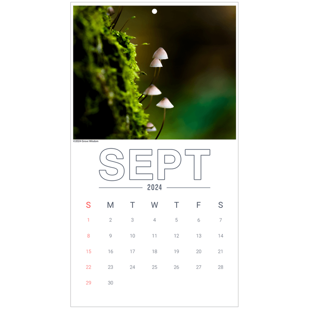 Mushroom Wall Calendar - GroveWisdom