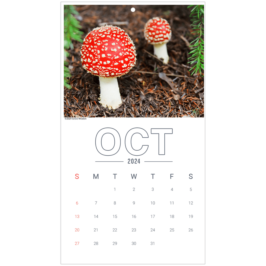 Mushroom Wall Calendar - GroveWisdom