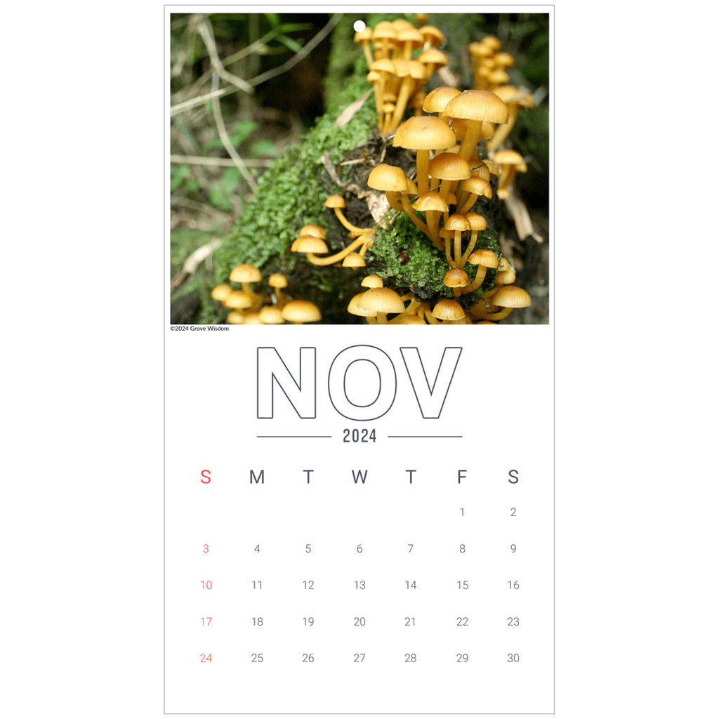 Mushroom Wall Calendar - GroveWisdom