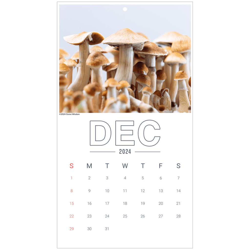 Mushroom Wall Calendar - GroveWisdom