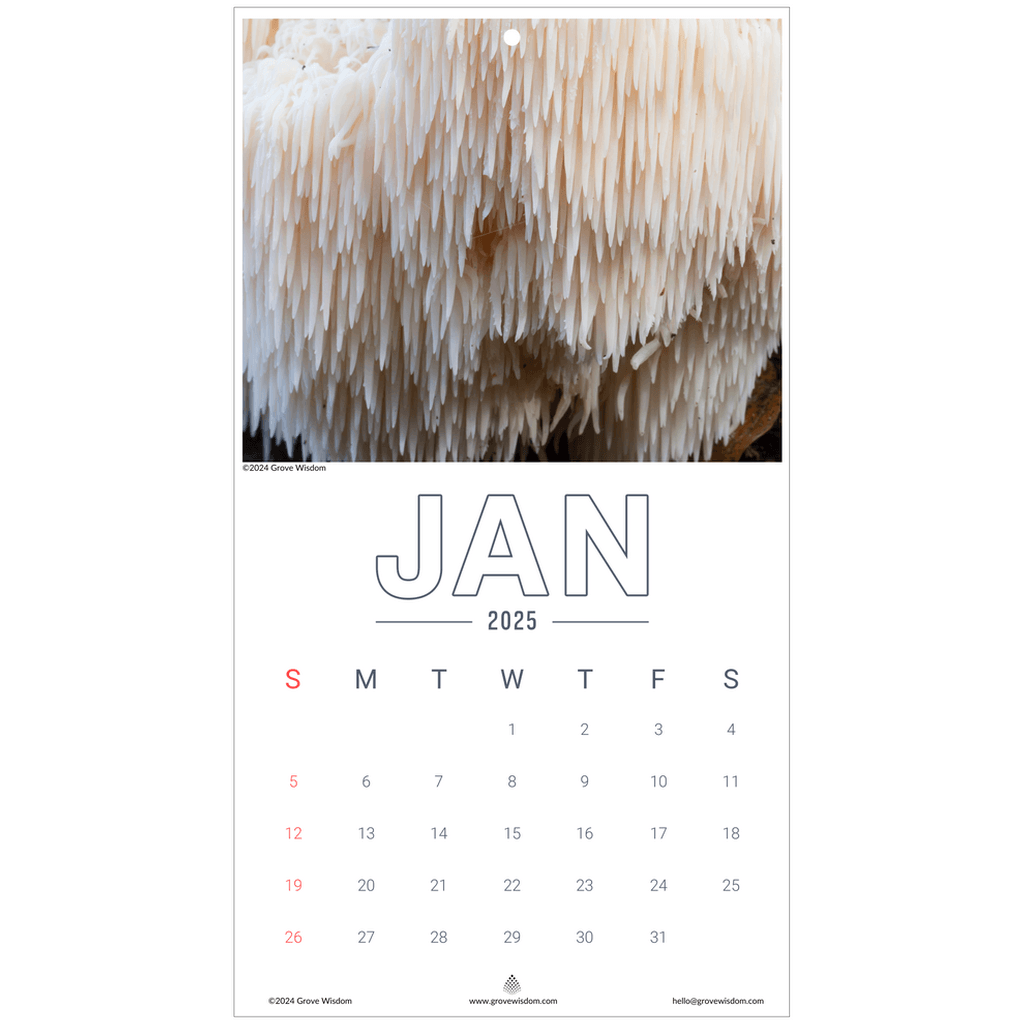 Mushroom Wall Calendar - GroveWisdom