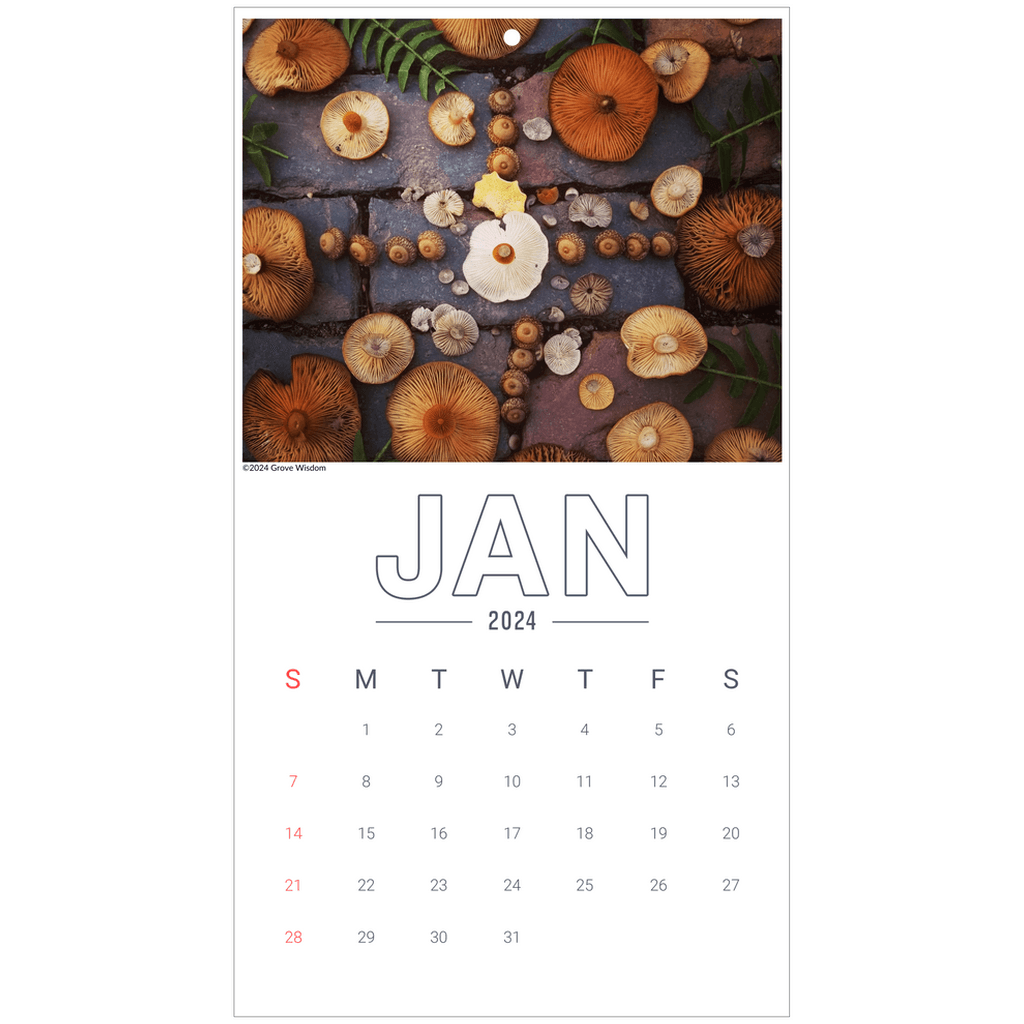 Mushroom Wall Calendar - GroveWisdom