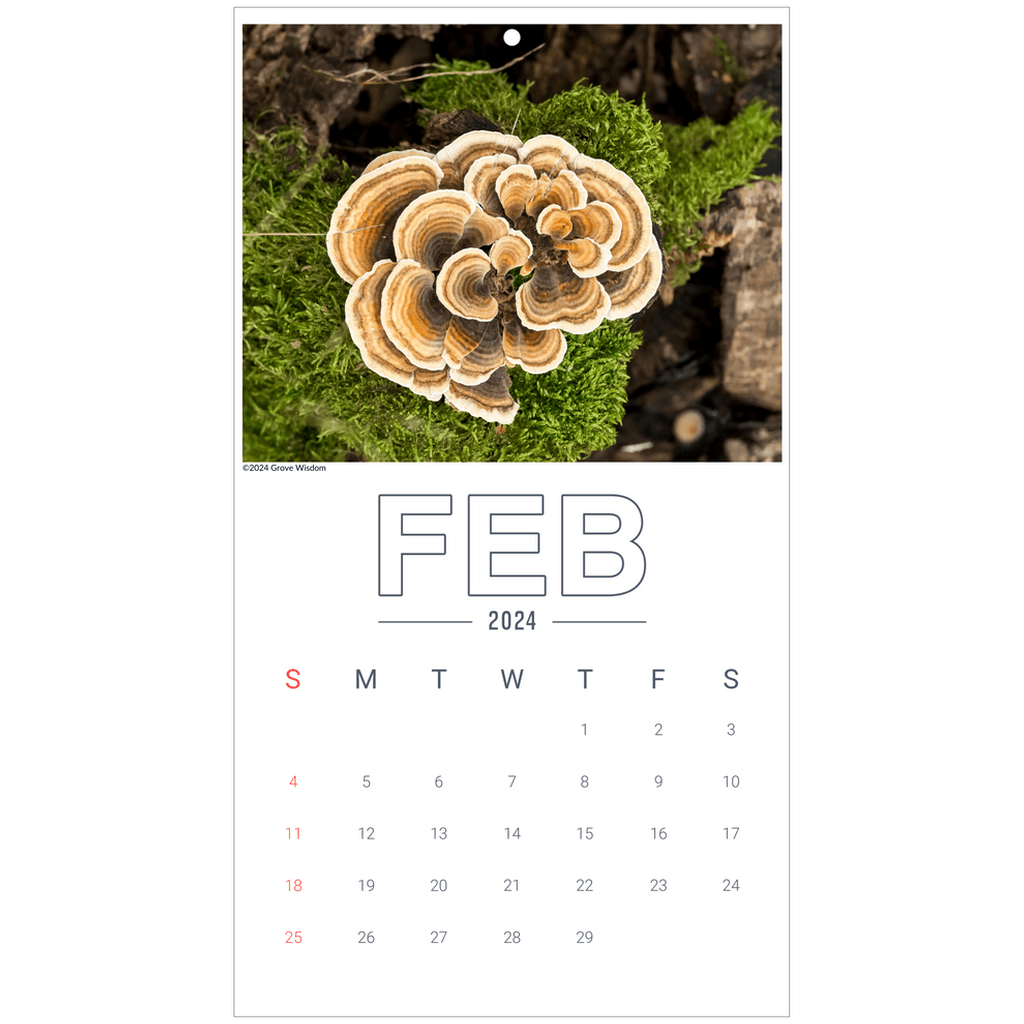 Mushroom Wall Calendar - GroveWisdom