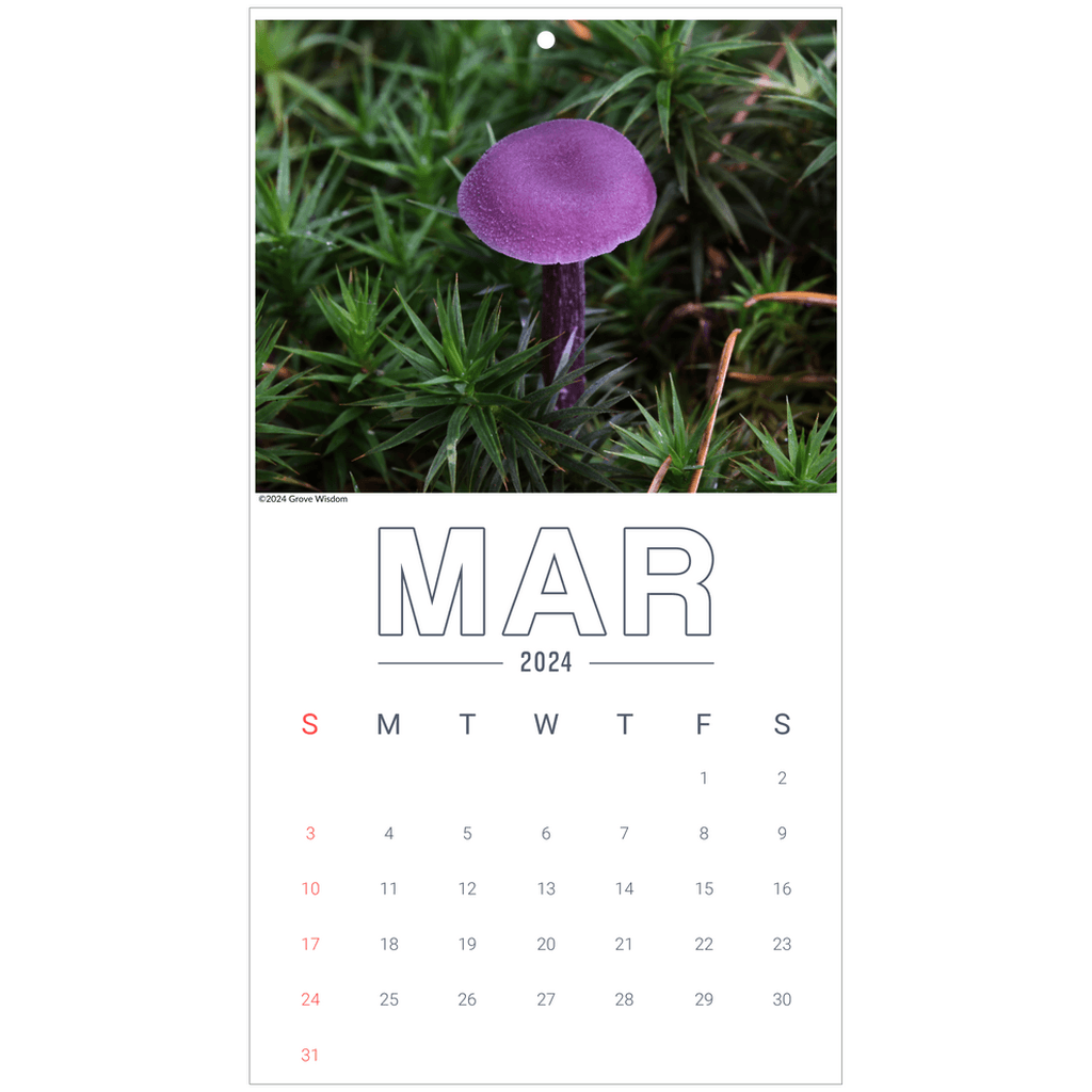 Mushroom Wall Calendar - GroveWisdom