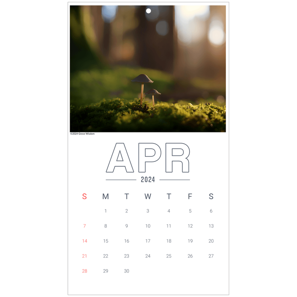 Mushroom Wall Calendar - GroveWisdom