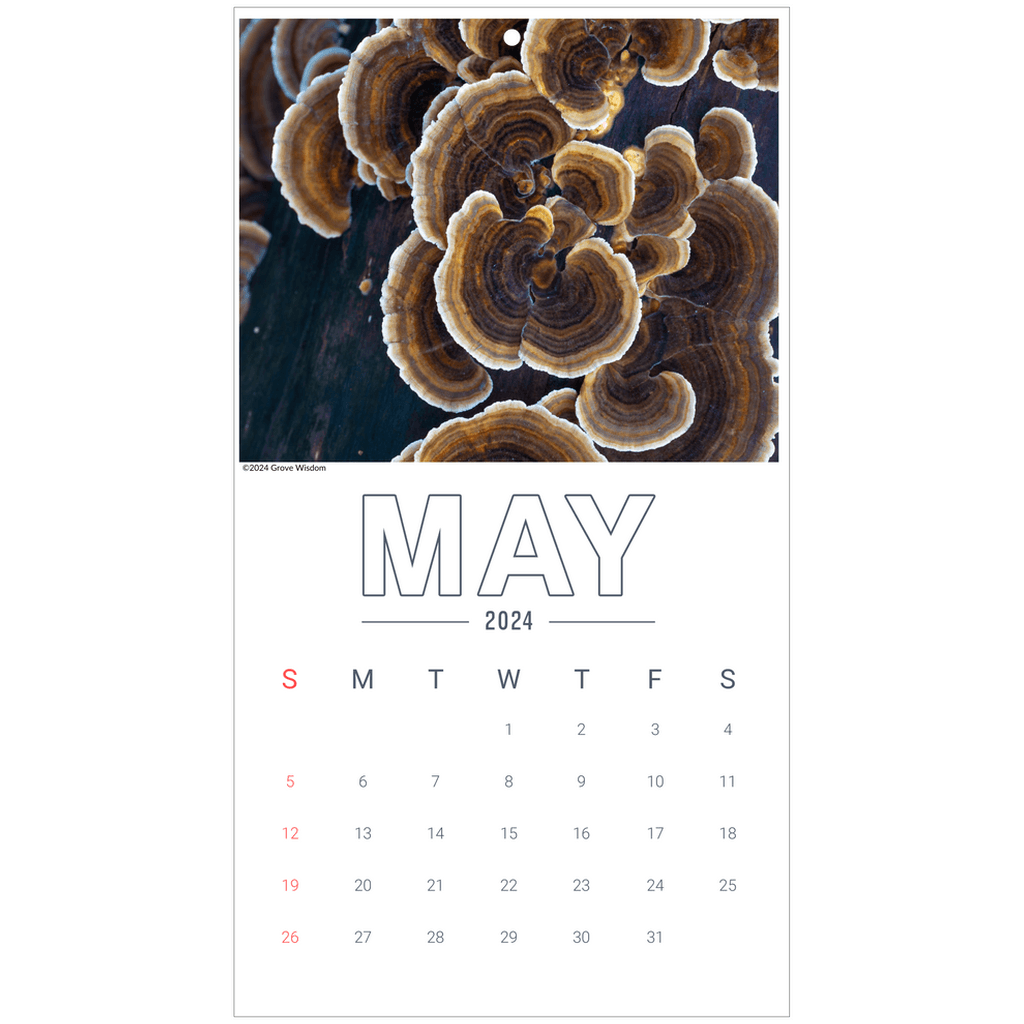 Mushroom Wall Calendar - GroveWisdom