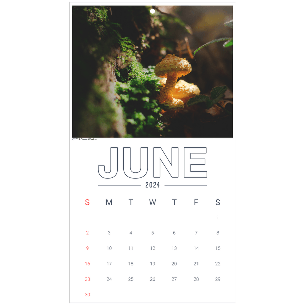 Mushroom Wall Calendar - GroveWisdom