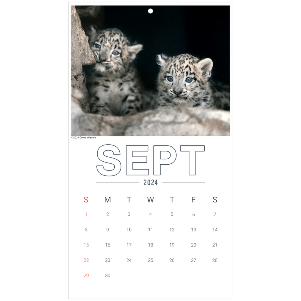 Wall Calendars - GroveWisdom