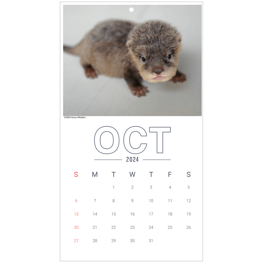 Wall Calendars - GroveWisdom