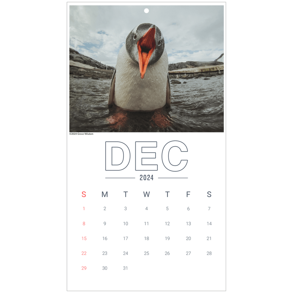 Wall Calendars - GroveWisdom