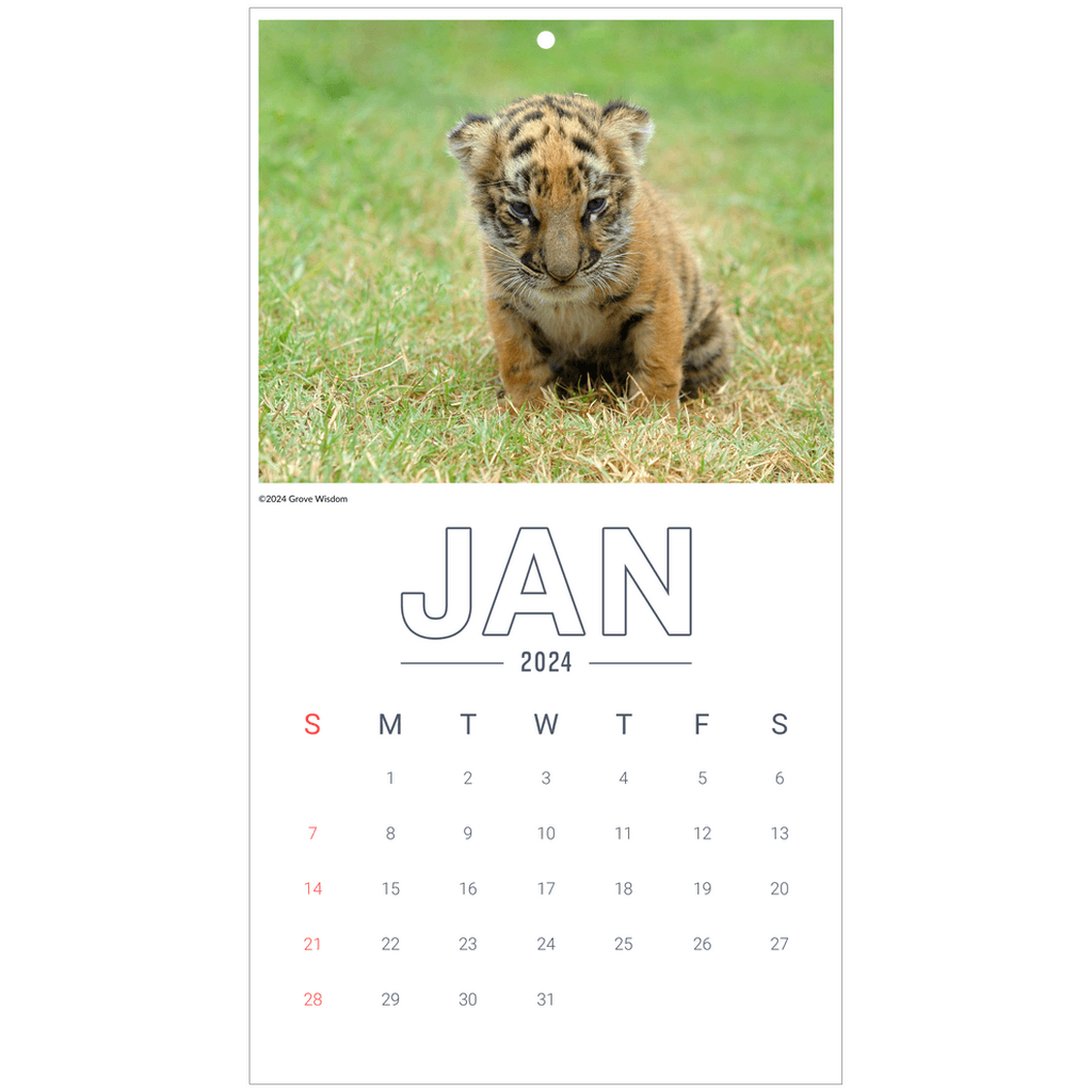 Wall Calendars - GroveWisdom