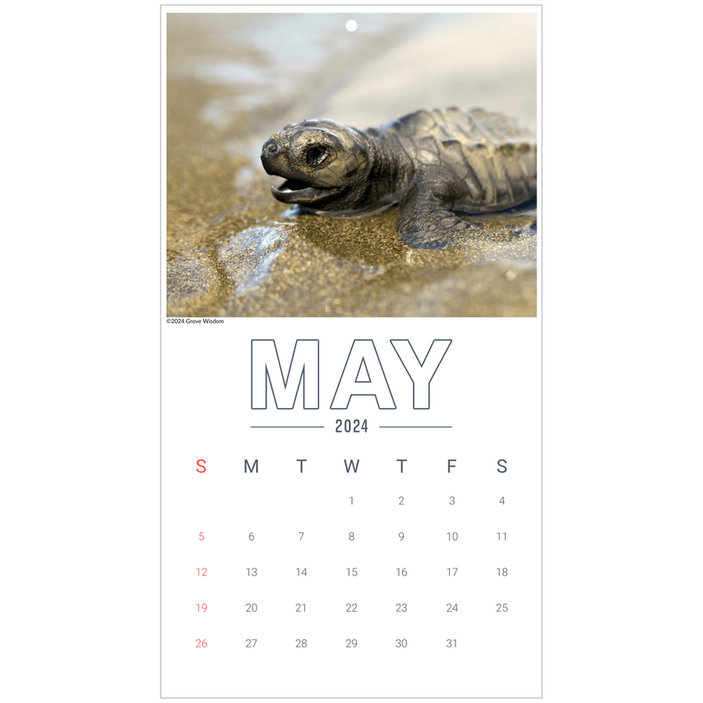 Wall Calendars - GroveWisdom